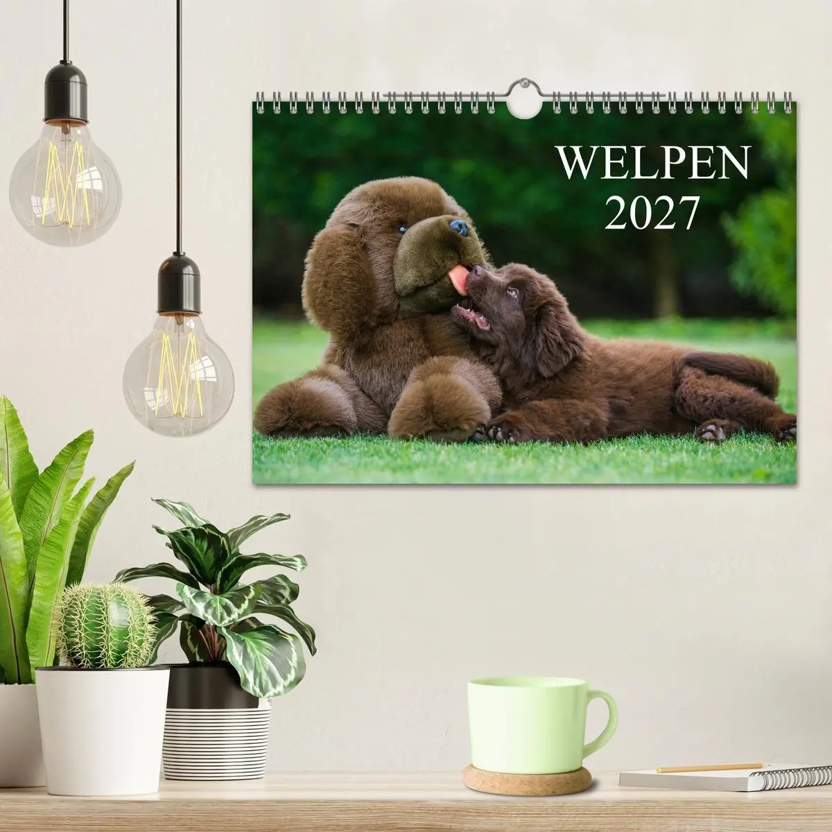 Bild: 9783594173305 | Welpen 2027 (Wandkalender 2027 DIN A4 quer), CALVENDO Monatskalender
