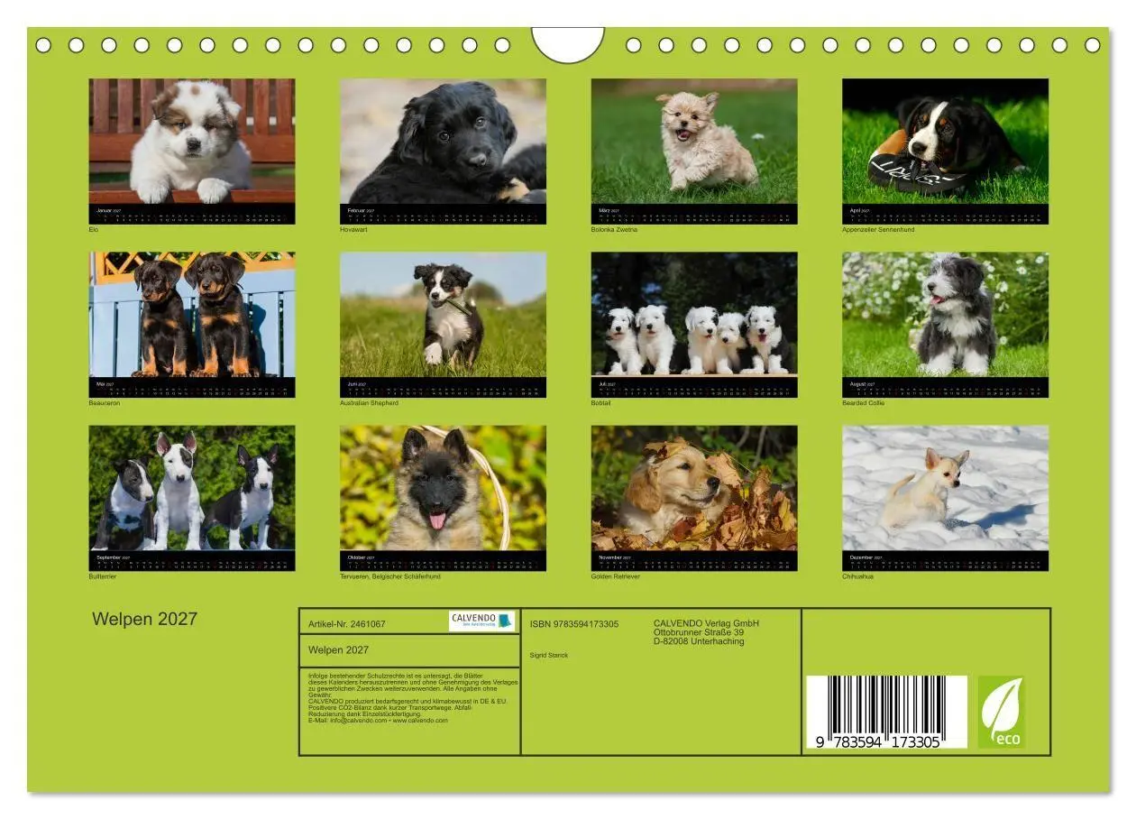 Bild: 9783594173305 | Welpen 2027 (Wandkalender 2027 DIN A4 quer), CALVENDO Monatskalender