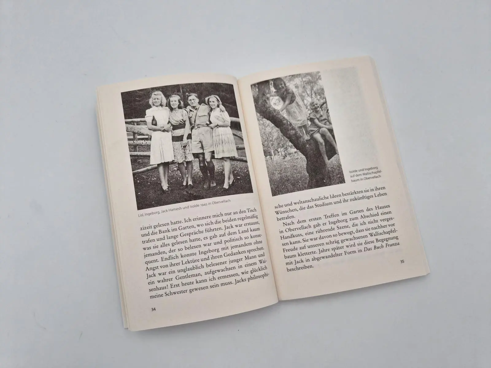 Bild: 9783492323505 | Ingeborg Bachmann, meine Schwester | Heinz Bachmann | Taschenbuch