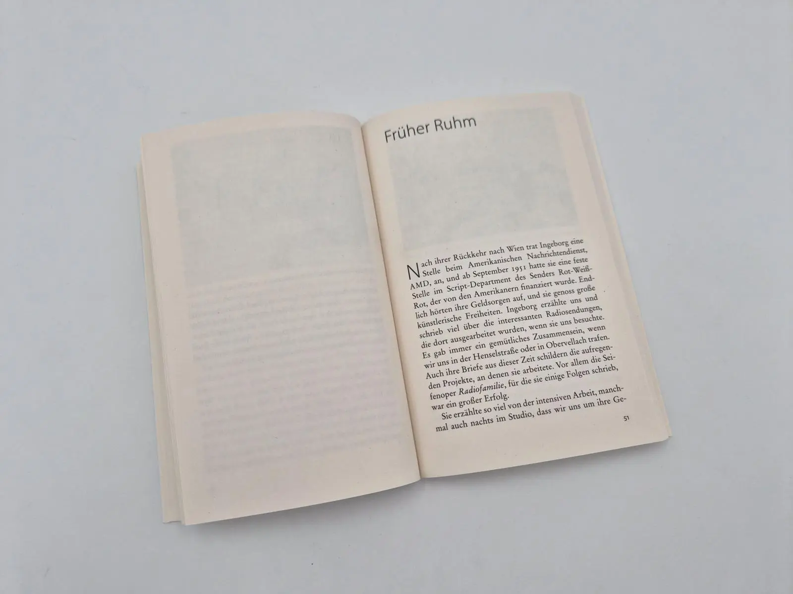 Bild: 9783492323505 | Ingeborg Bachmann, meine Schwester | Heinz Bachmann | Taschenbuch