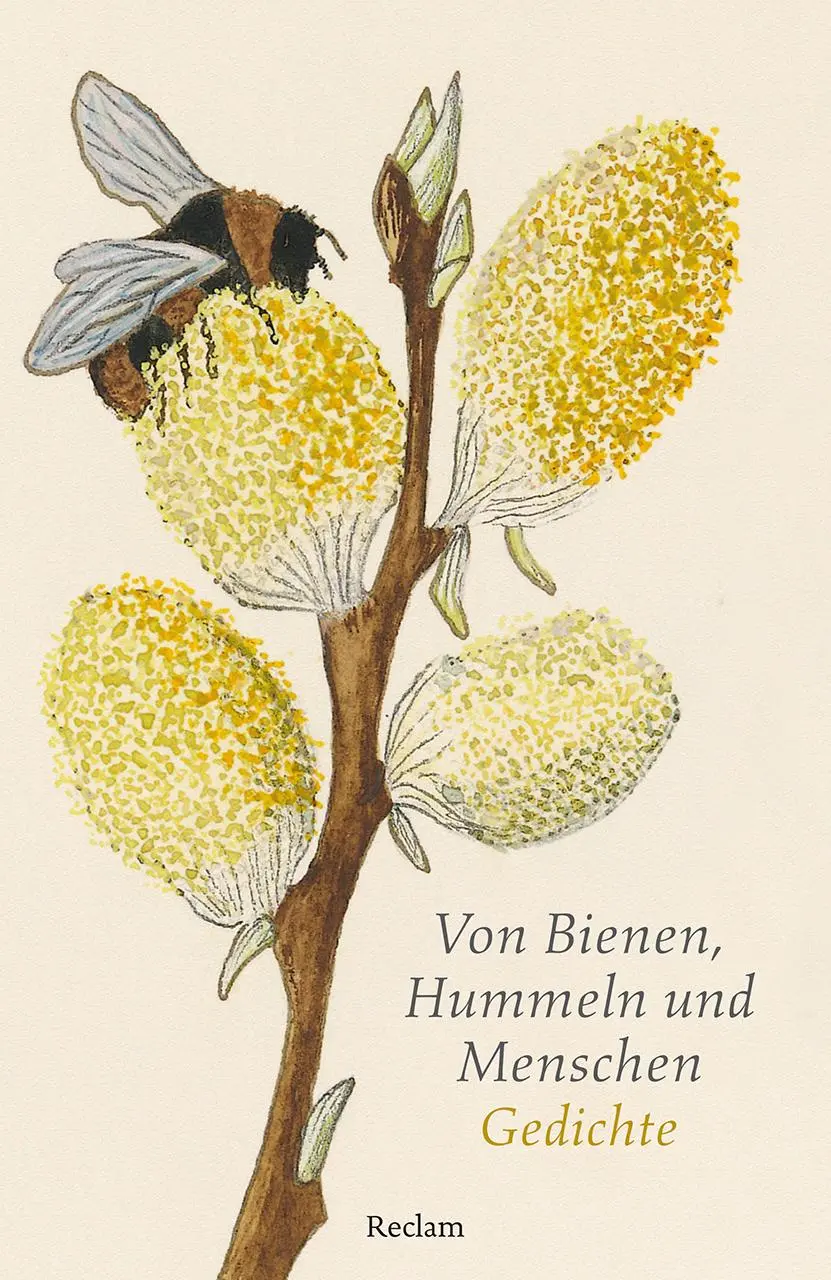 Cover: 9783150143605 | Von Bienen, Hummeln und Menschen. Gedichte | Eberhard Scholing | Buch