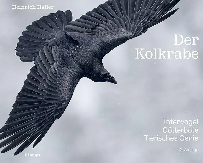 Cover: 9783258083605 | Der Kolkrabe - Totenvogel, Götterbote, tierisches Genie | Haller