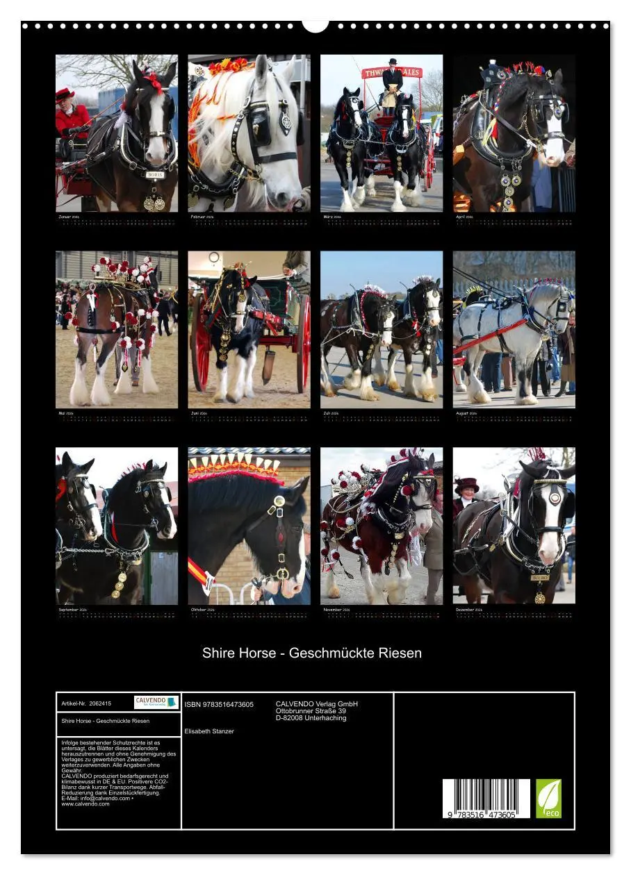 Bild: 9783516473605 | Shire Horse - Geschmückte Riesen (hochwertiger Premium Wandkalender...
