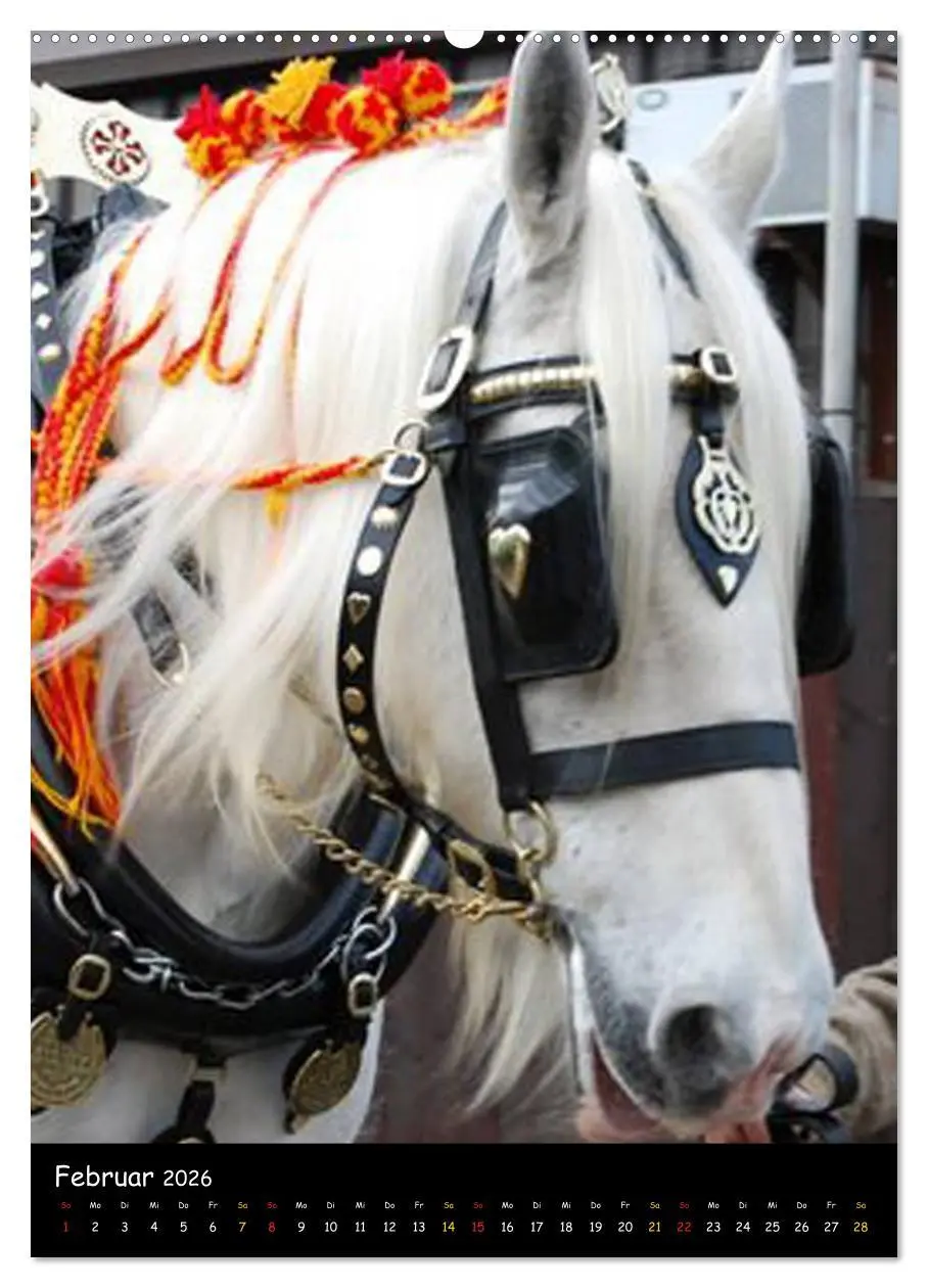 Bild: 9783516473605 | Shire Horse - Geschmückte Riesen (hochwertiger Premium Wandkalender...