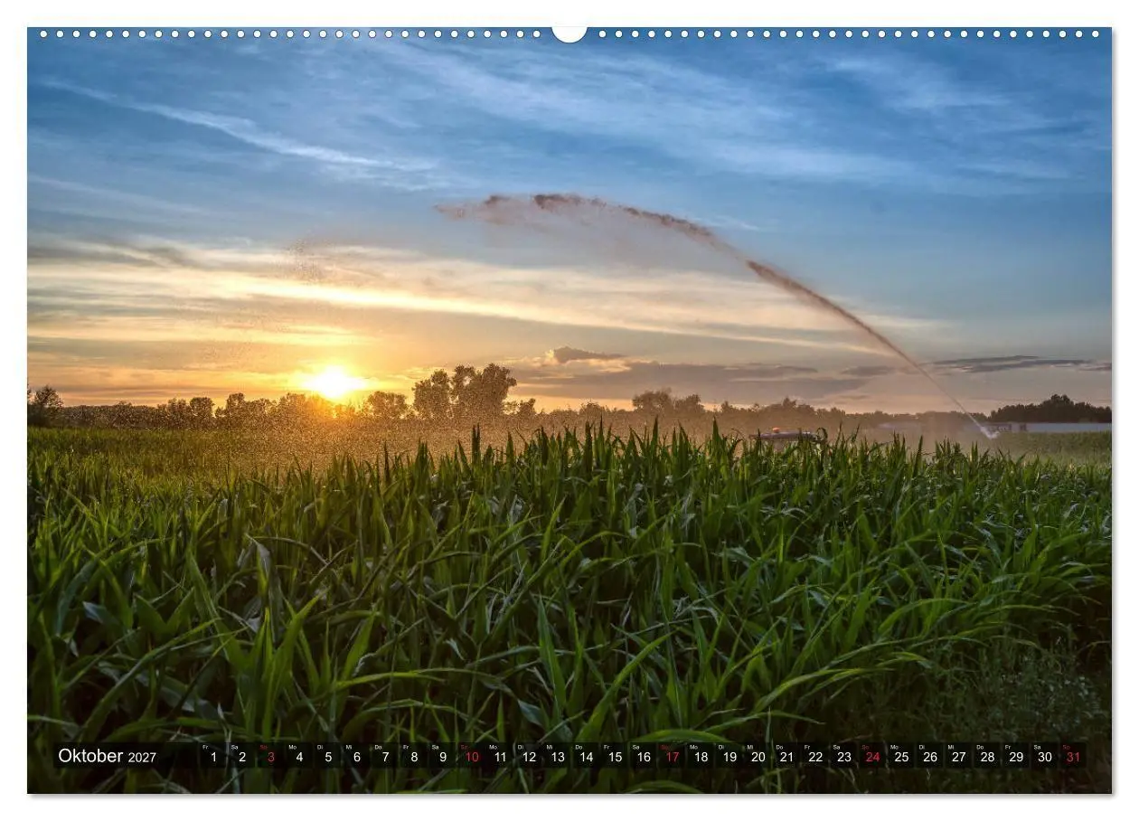 Bild: 9783569703605 | Ketsch am Rhein (Wandkalender 2027 DIN A2 quer), CALVENDO...