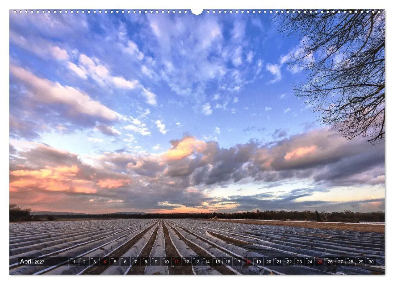 Bild: 9783569703605 | Ketsch am Rhein (Wandkalender 2027 DIN A2 quer), CALVENDO...