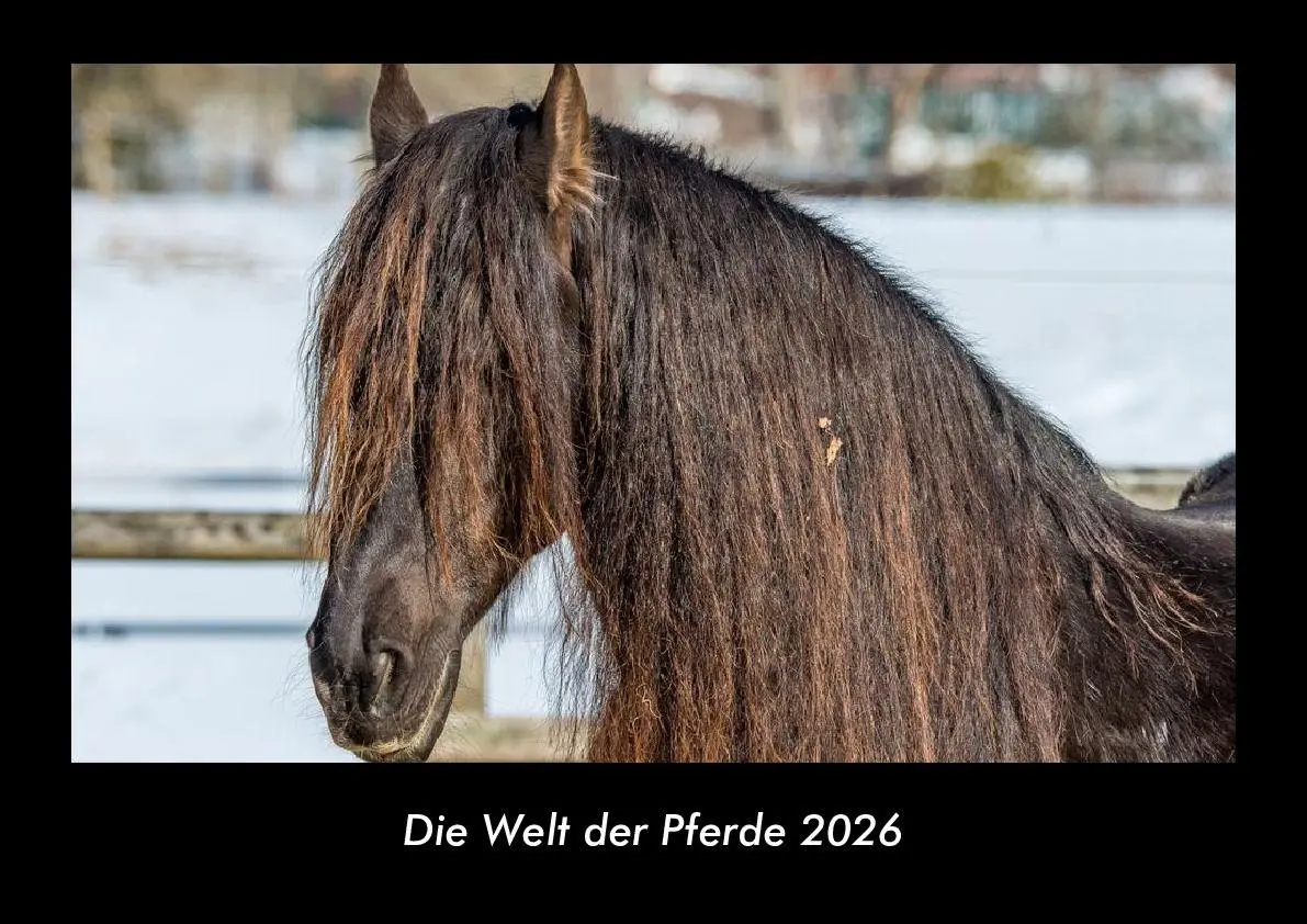 Cover: 9783755993605 | Die Welt der Pferde 2026 Fotokalender DIN A3 | Tobias Becker | Deutsch