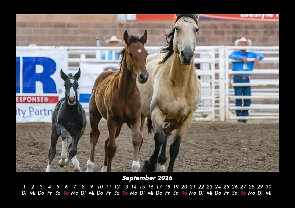 Bild: 9783755993605 | Die Welt der Pferde 2026 Fotokalender DIN A3 | Tobias Becker | Deutsch