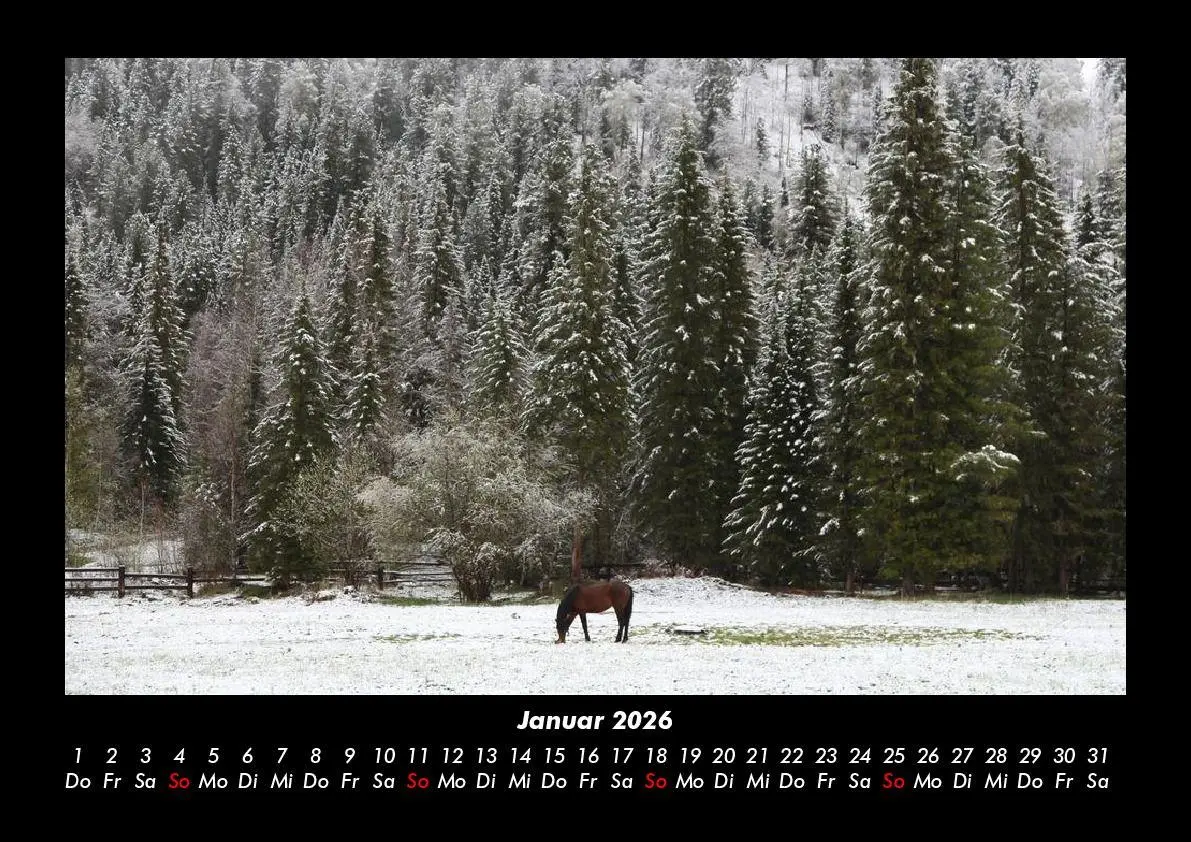 Bild: 9783755993605 | Die Welt der Pferde 2026 Fotokalender DIN A3 | Tobias Becker | Deutsch