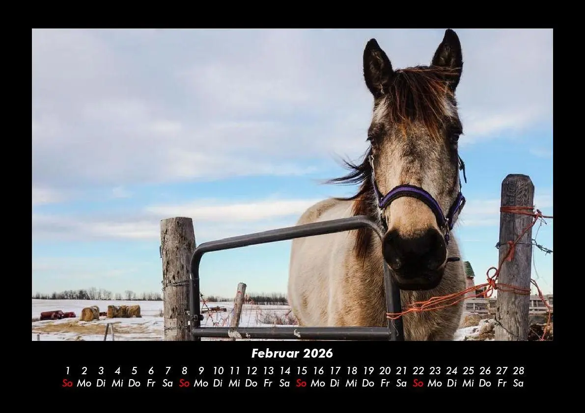 Bild: 9783755993605 | Die Welt der Pferde 2026 Fotokalender DIN A3 | Tobias Becker | Deutsch