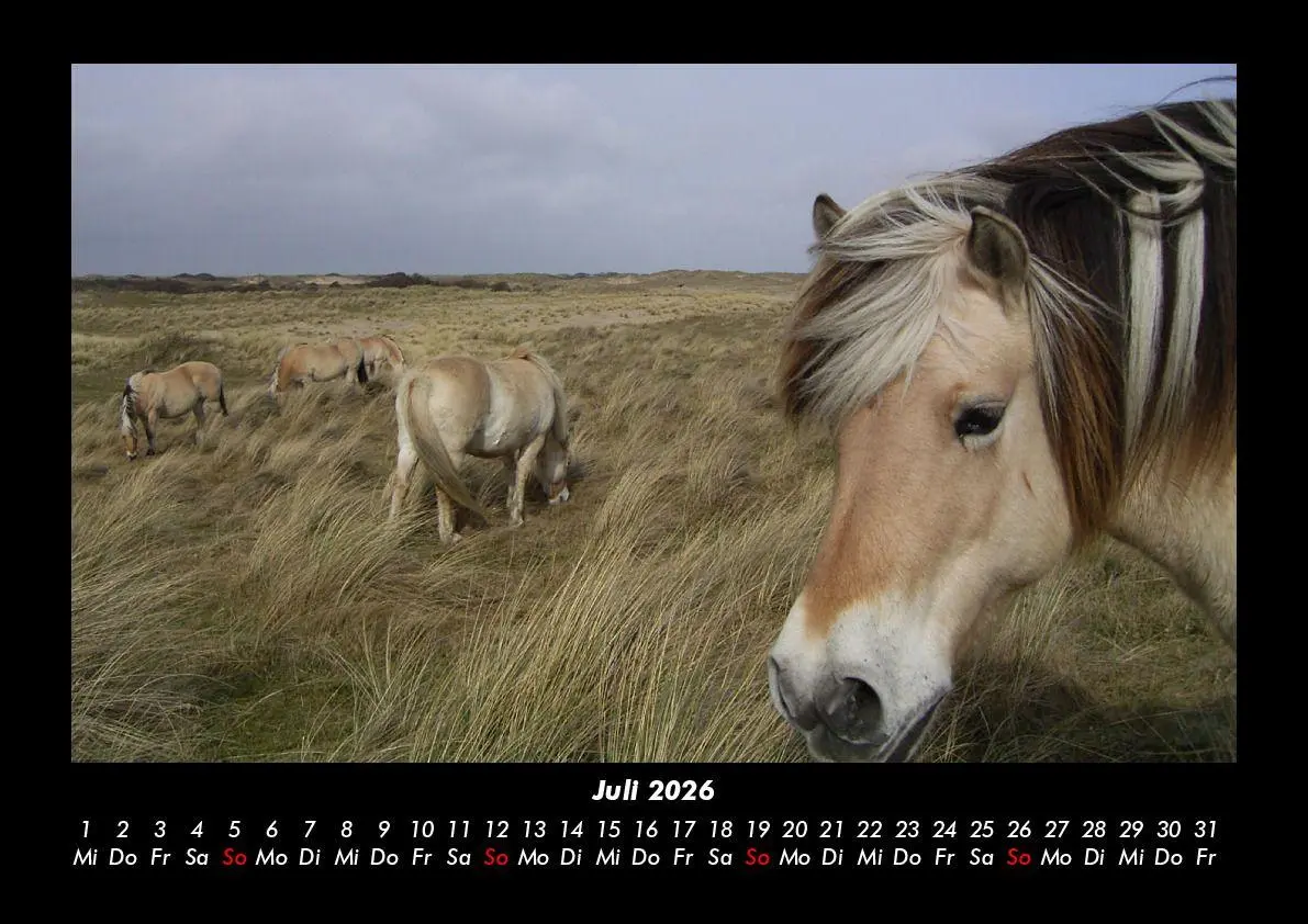 Bild: 9783755993605 | Die Welt der Pferde 2026 Fotokalender DIN A3 | Tobias Becker | Deutsch
