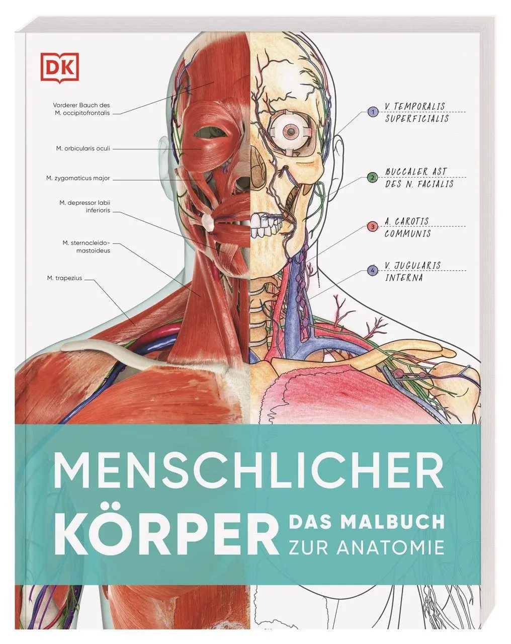 Cover: 9783831053605 | Menschlicher Körper | DK Verlag | Taschenbuch | 264 S. | Deutsch