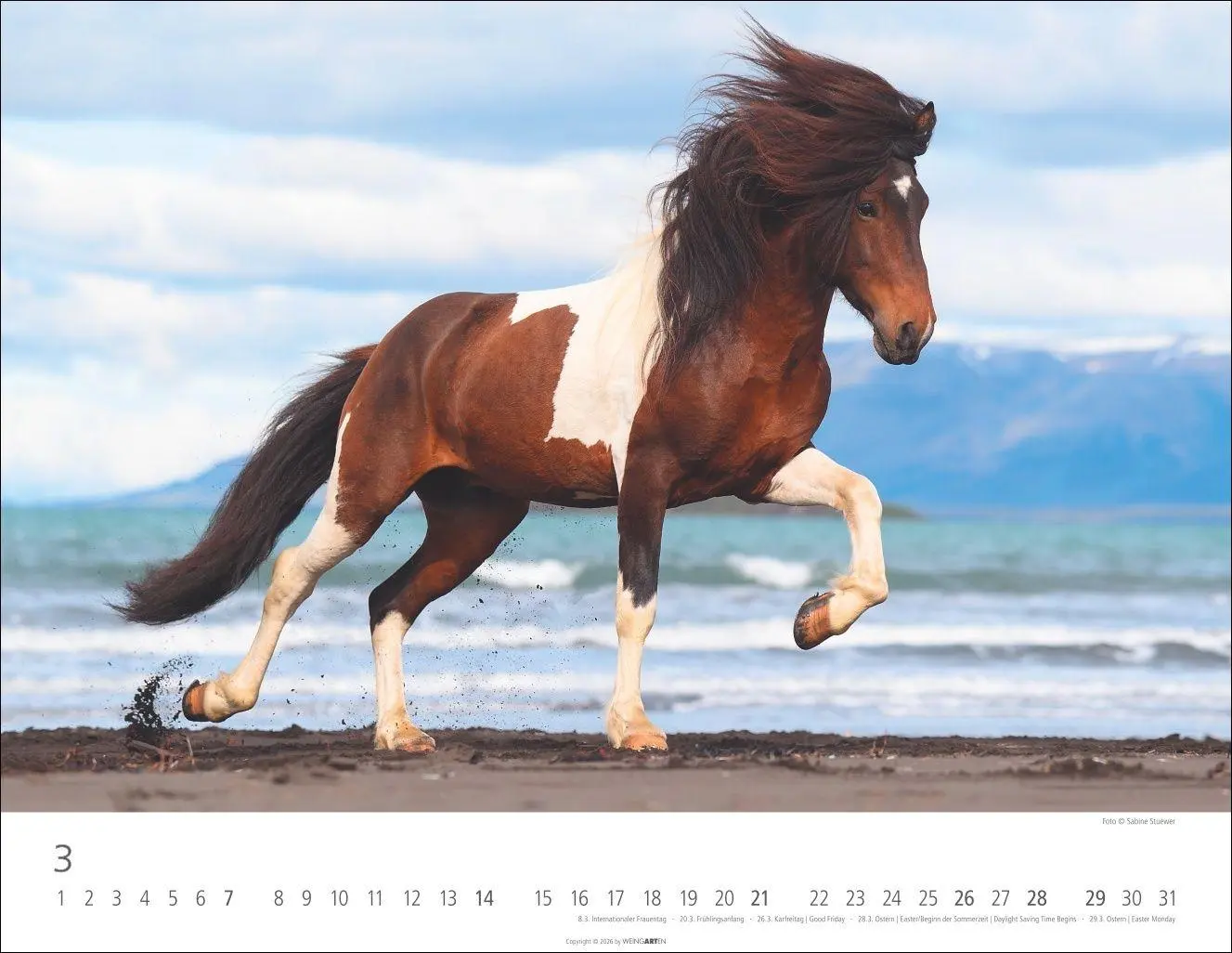Bild: 9783839903605 | Islandpferde Kalender 2027 | Sabine Stuewer | Kalender | Spiralbindung