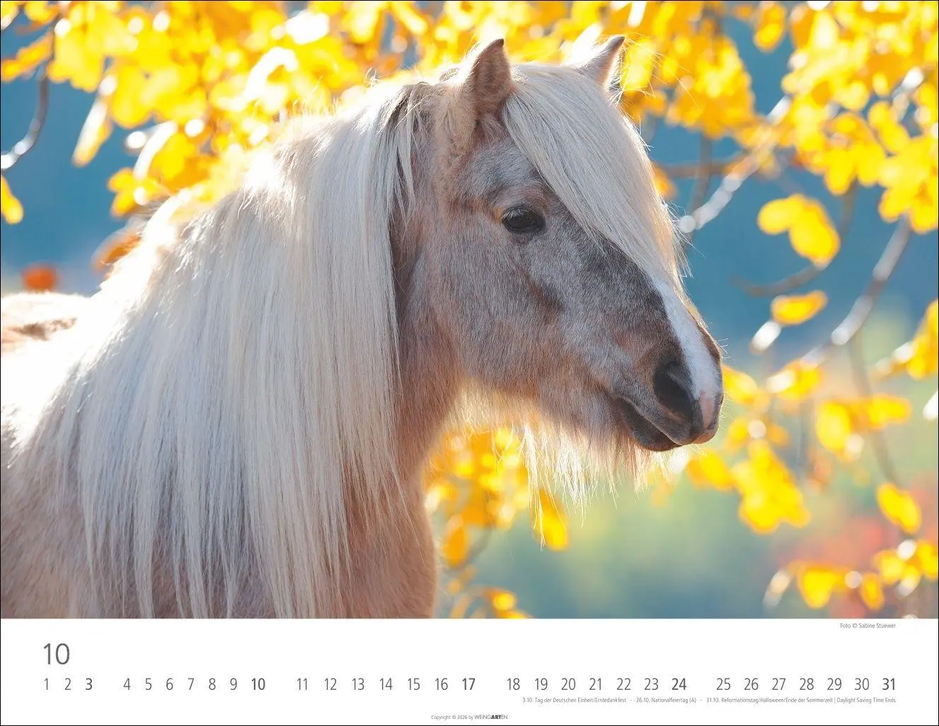 Bild: 9783839903605 | Islandpferde Kalender 2027 | Sabine Stuewer | Kalender | Spiralbindung
