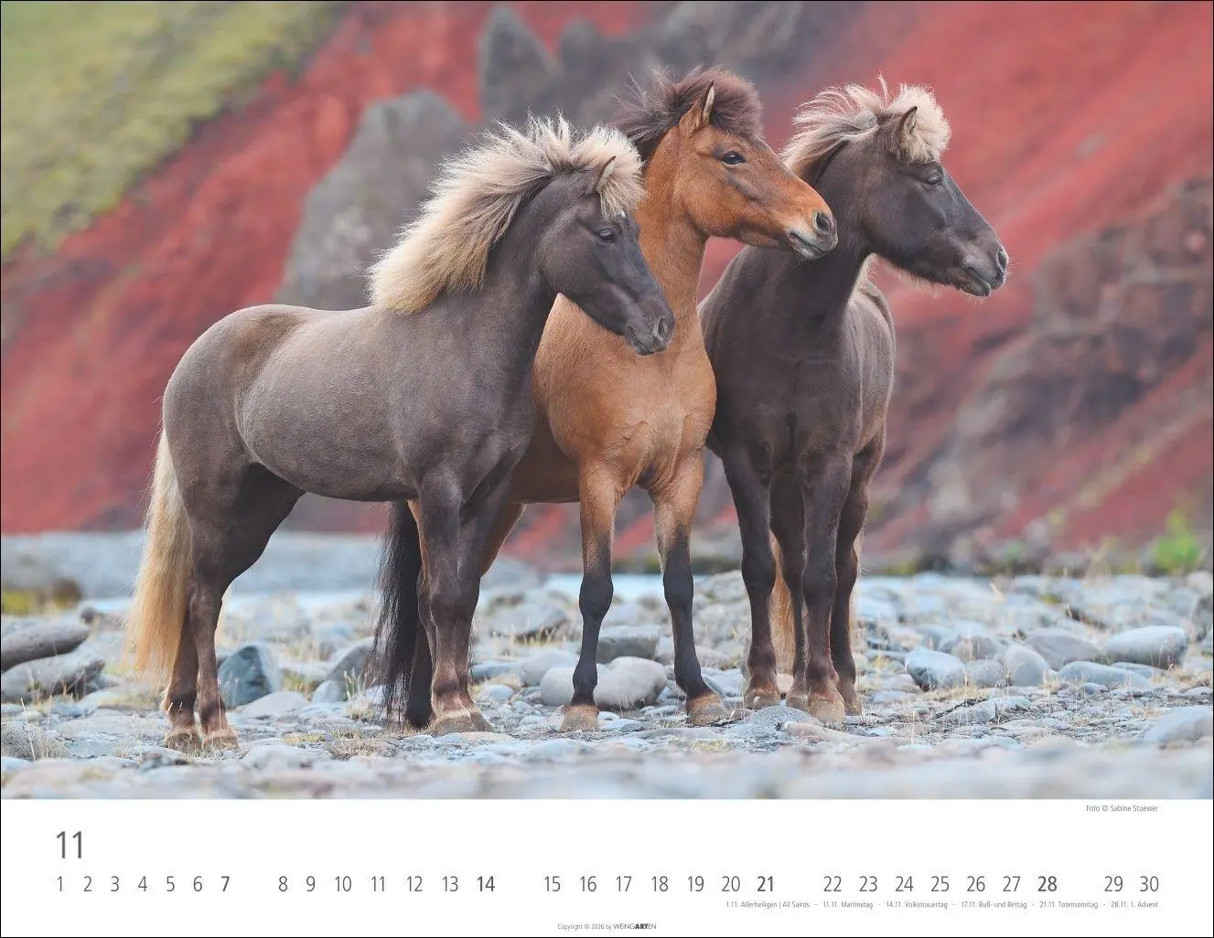 Bild: 9783839903605 | Islandpferde Kalender 2027 | Sabine Stuewer | Kalender | Spiralbindung