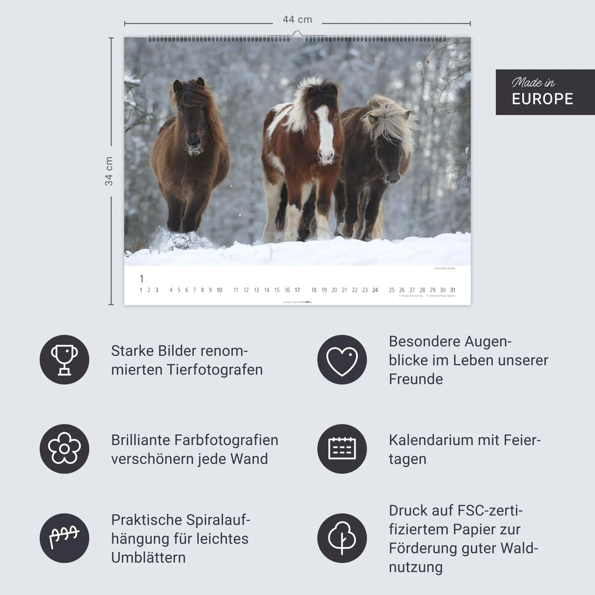 Bild: 9783839903605 | Islandpferde Kalender 2027 | Sabine Stuewer | Kalender | Spiralbindung