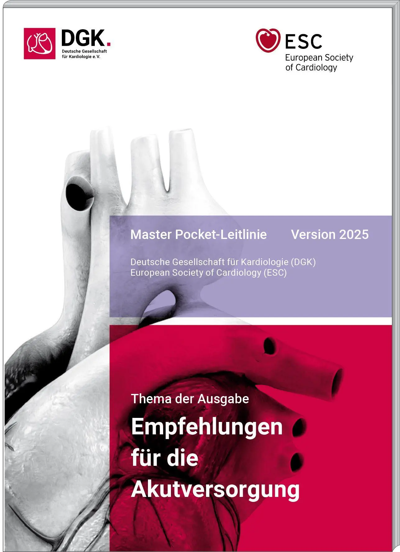 Cover: 9783898623605 | Empfehlungen für die Akutversorgung | Deutsche Gesellschaft | Buch