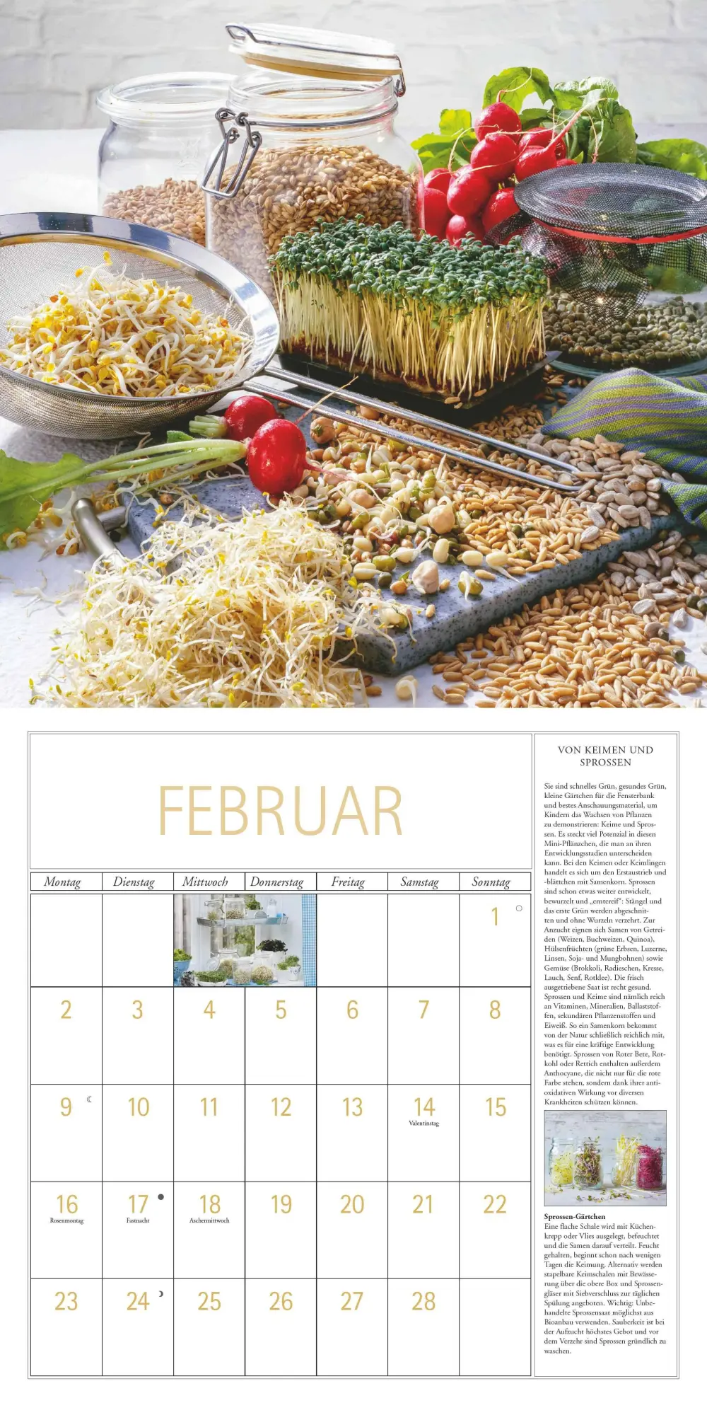 Bild: 4069095003705 | DUMONT - DUMONTS Kräuter Kalender 2026 Broschürenkalender, 30x30cm,...