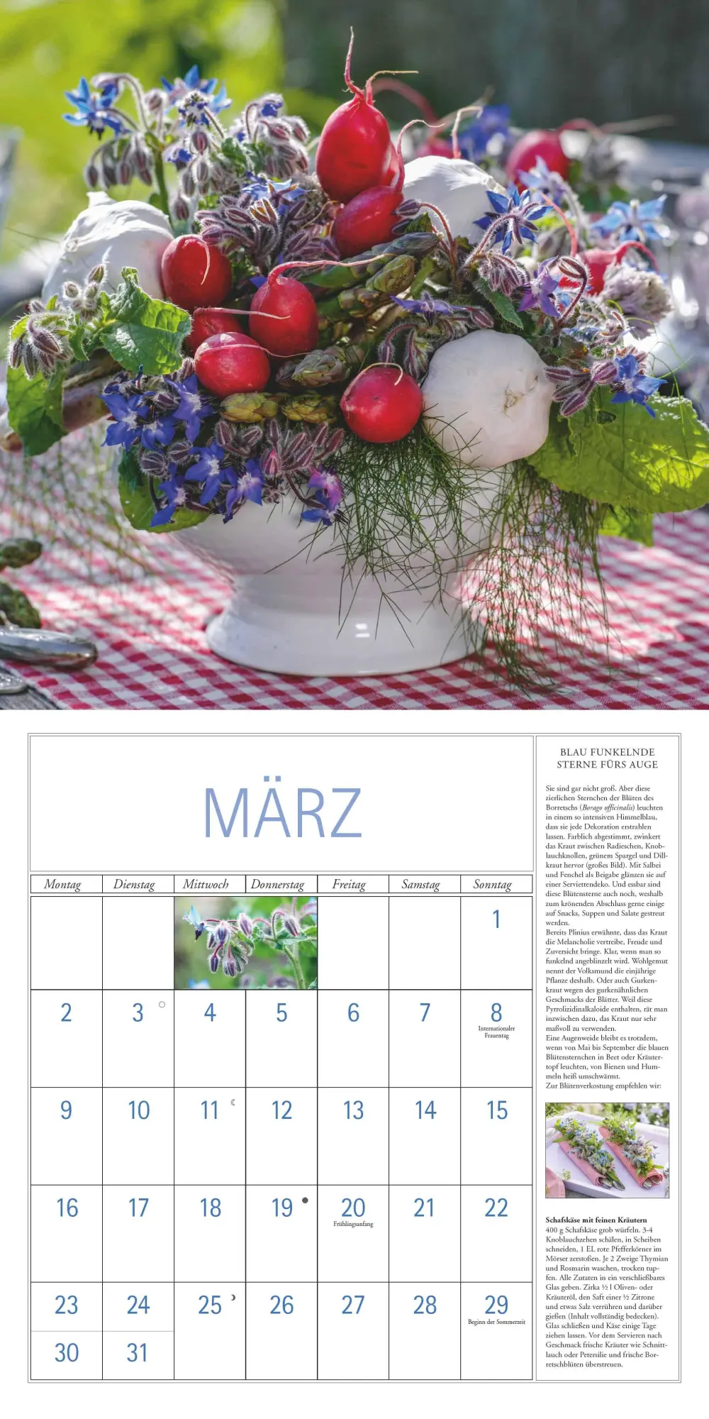 Bild: 4069095003705 | DUMONT - DUMONTS Kräuter Kalender 2026 Broschürenkalender, 30x30cm,...
