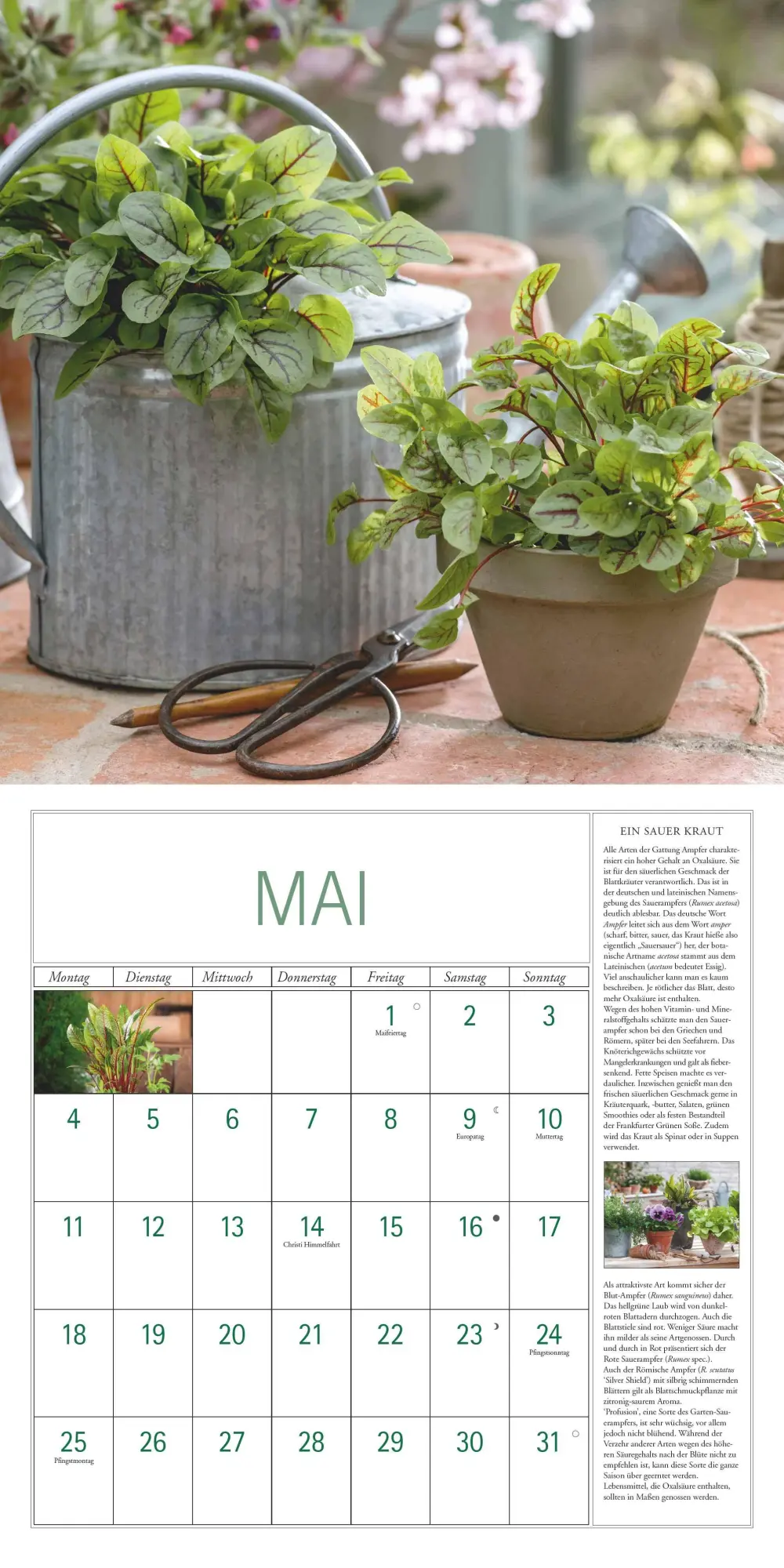 Bild: 4069095003705 | DUMONT - DUMONTS Kräuter Kalender 2026 Broschürenkalender, 30x30cm,...