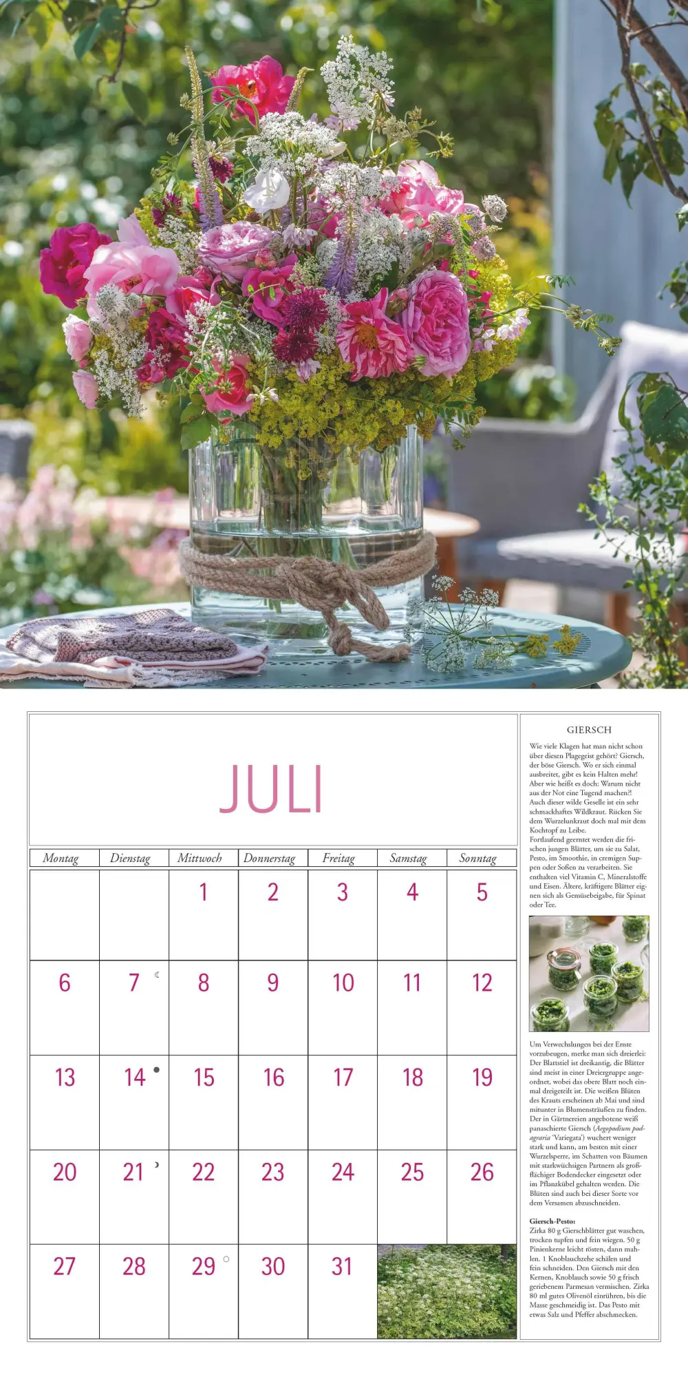 Bild: 4069095003705 | DUMONT - DUMONTS Kräuter Kalender 2026 Broschürenkalender, 30x30cm,...