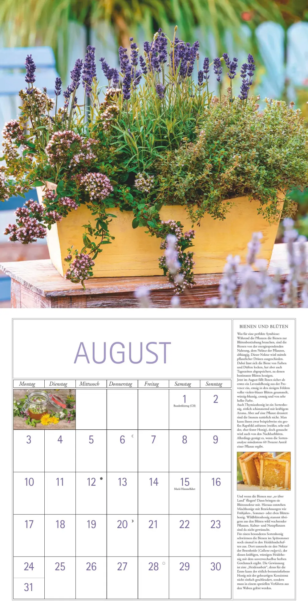 Bild: 4069095003705 | DUMONT - DUMONTS Kräuter Kalender 2026 Broschürenkalender, 30x30cm,...