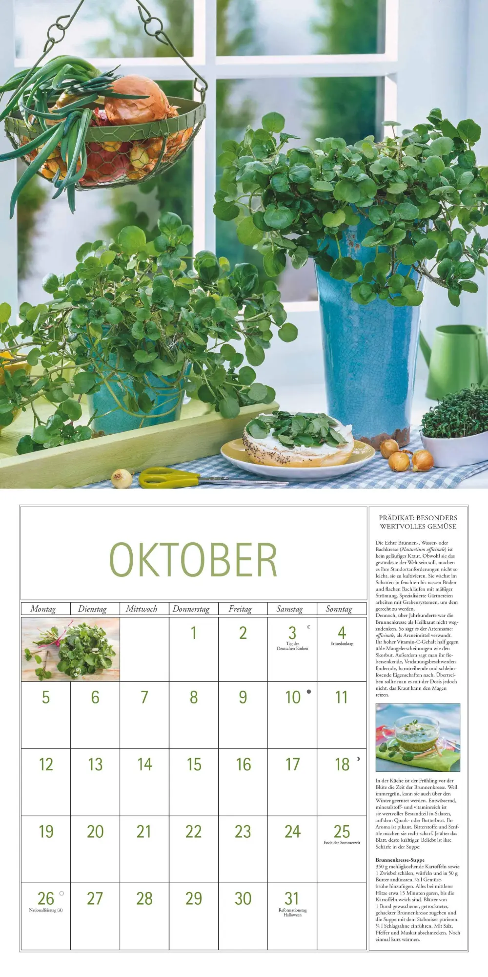 Bild: 4069095003705 | DUMONT - DUMONTS Kräuter Kalender 2026 Broschürenkalender, 30x30cm,...