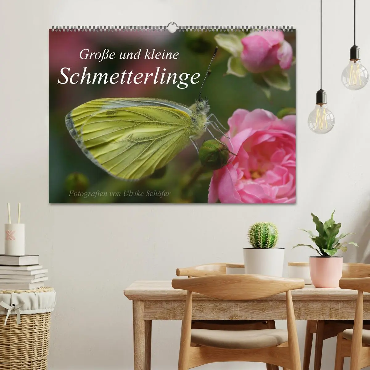 Bild: 9783516083705 | Große und kleine Schmetterlinge (Wandkalender 2026 DIN A2 quer),...