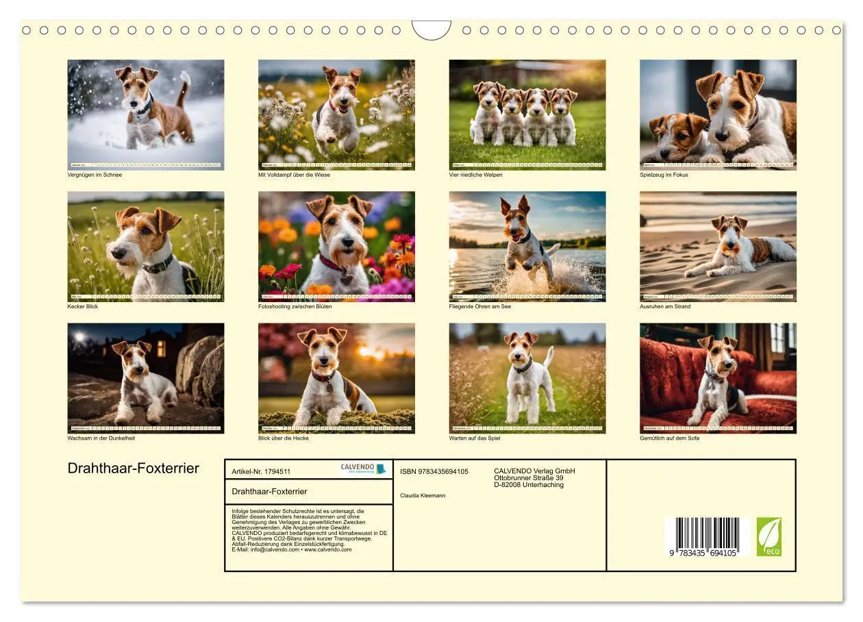Bild: 9783435694105 | Drahthaar-Foxterrier (Wandkalender 2025 DIN A3 quer), CALVENDO...