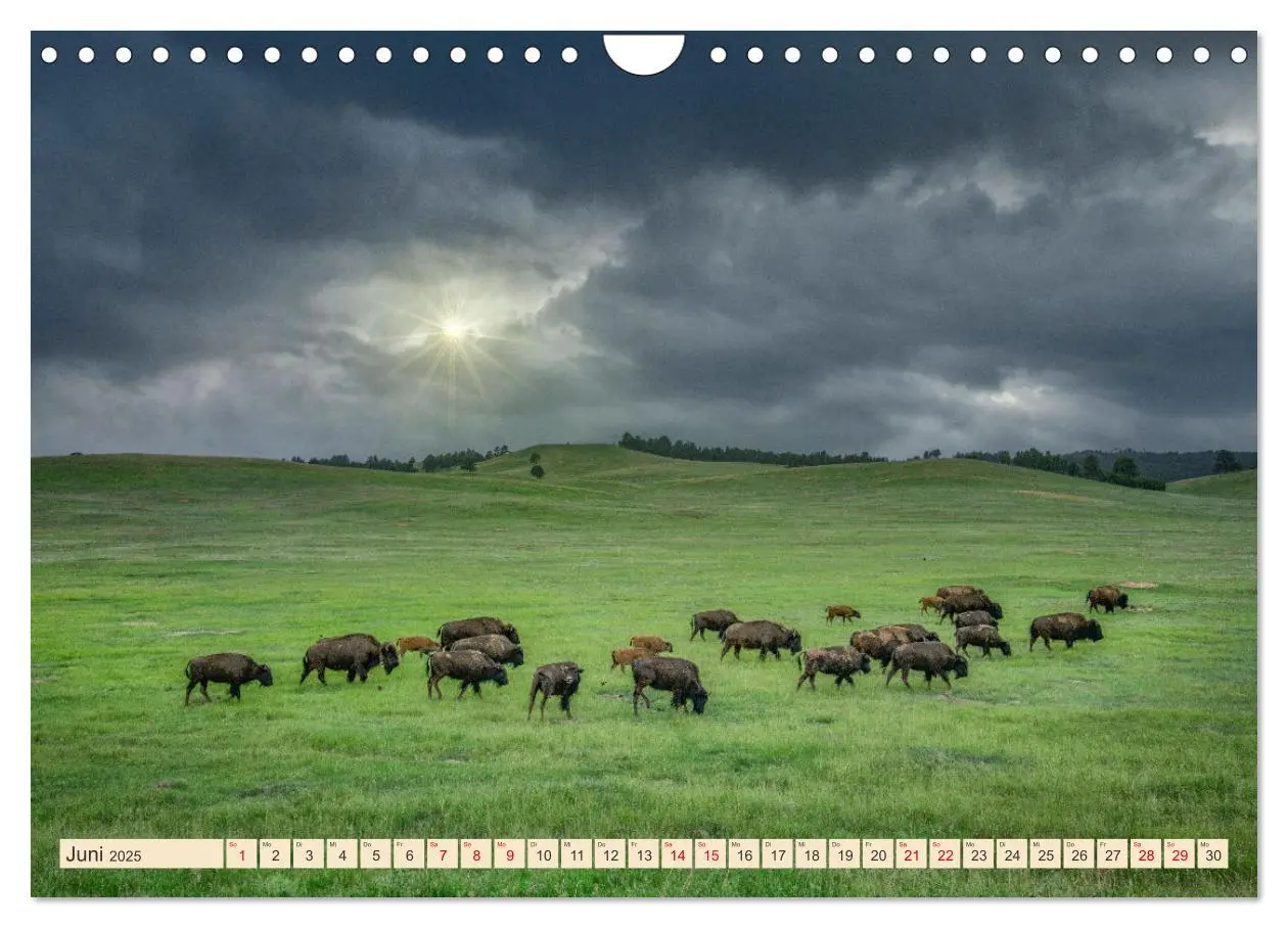 Bild: 9783457164105 | Sioux Im Lande von Sitting Bull (Wandkalender 2025 DIN A4 quer),...