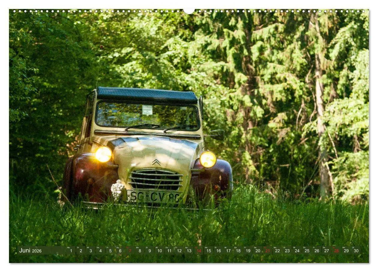 Bild: 9783457924105 | Die Ente ist sicher - Fahrspaß mit 2 CV Dolly (Wandkalender 2026...