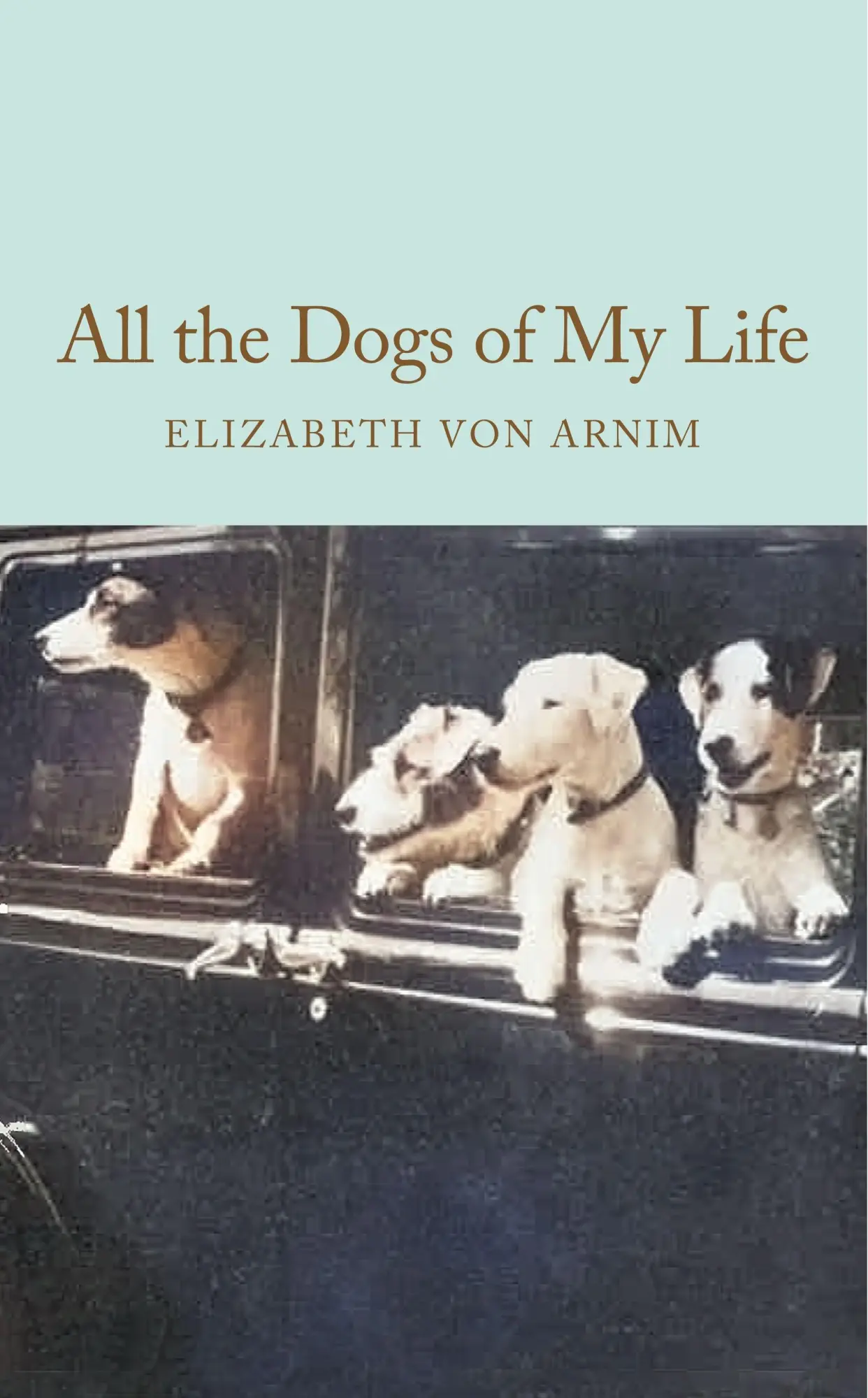 Cover: 9781035064205 | All the Dogs of My Life | Elizabeth von Arnim | Buch | Gebunden | 2026
