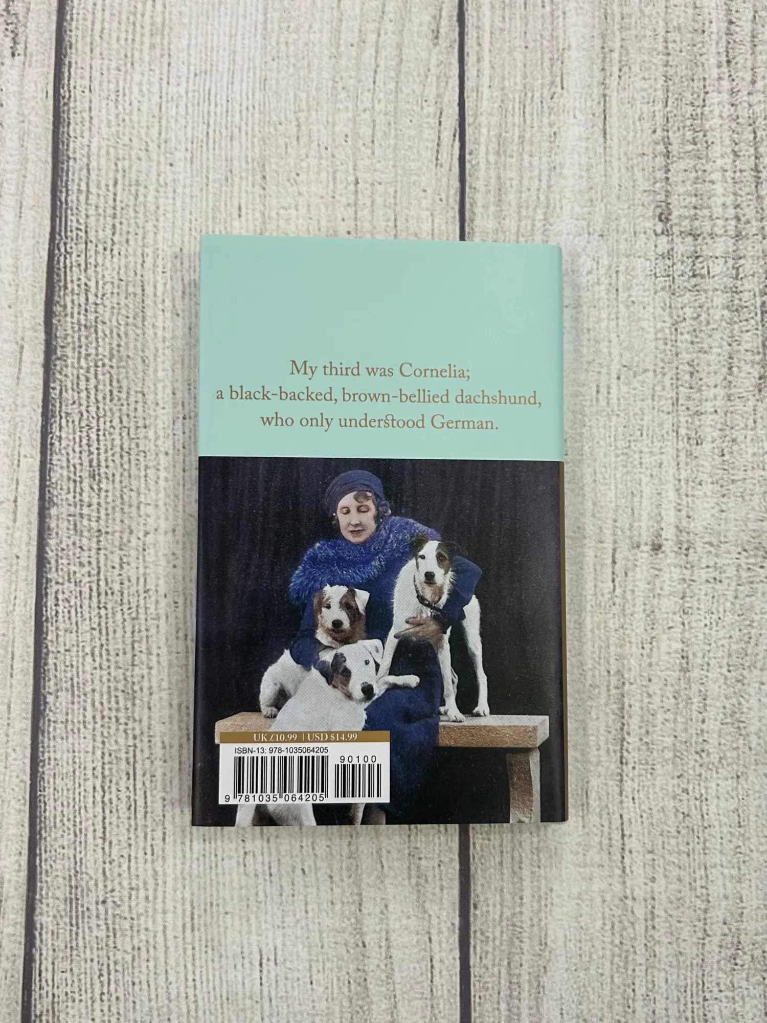 Bild: 9781035064205 | All the Dogs of My Life | Elizabeth von Arnim | Buch | Gebunden | 2026