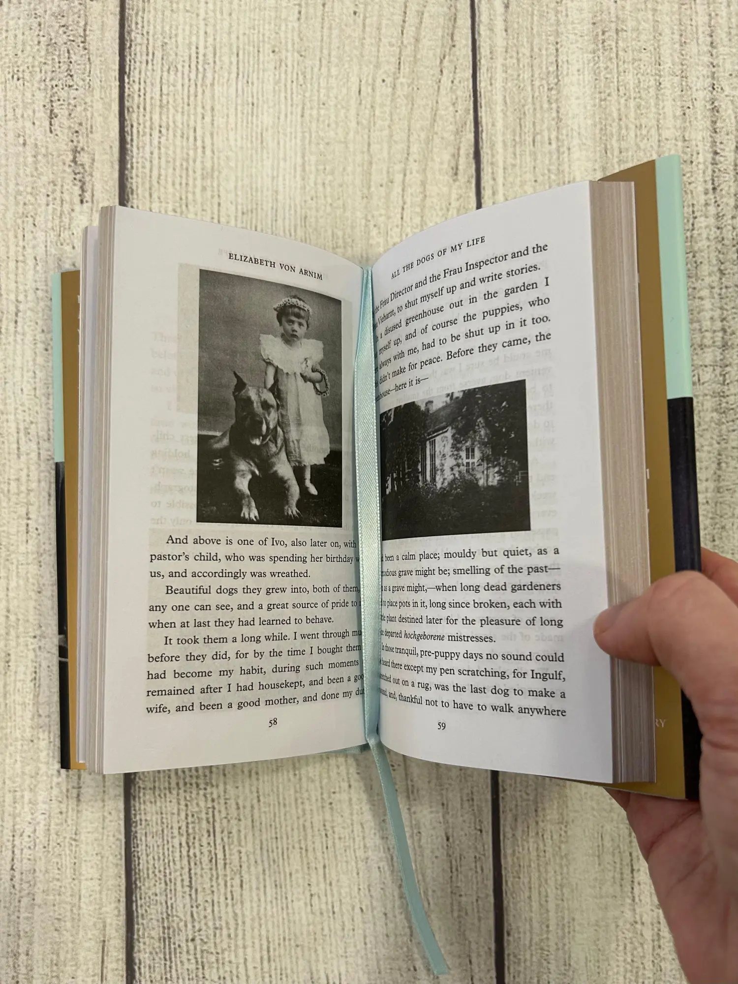 Bild: 9781035064205 | All the Dogs of My Life | Elizabeth von Arnim | Buch | Gebunden | 2026