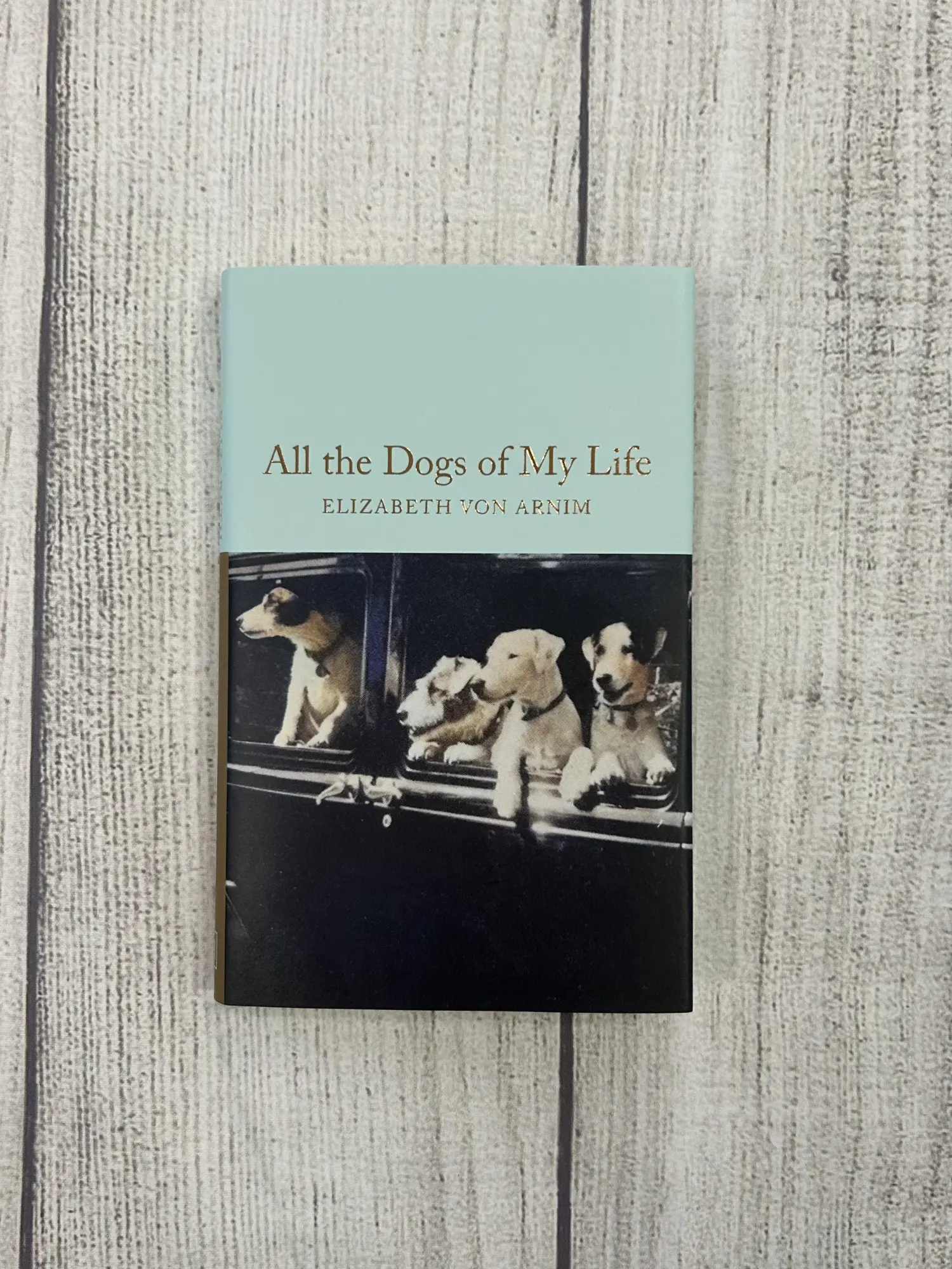 Bild: 9781035064205 | All the Dogs of My Life | Elizabeth von Arnim | Buch | Gebunden | 2026