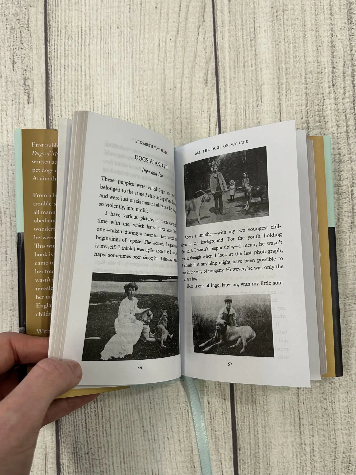 Bild: 9781035064205 | All the Dogs of My Life | Elizabeth von Arnim | Buch | Gebunden | 2026