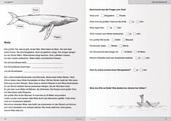 Bild: 9783946904205 | Ich kann lesen 3&amp;4 - 2 Schülerarbeitshefte für die 2. und 3. Klasse