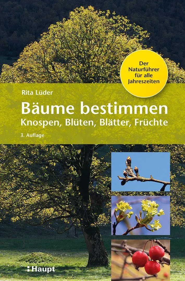 Cover: 9783258084305 | Bäume bestimmen - Knospen, Blüten, Blätter, Früchte | Rita Lüder