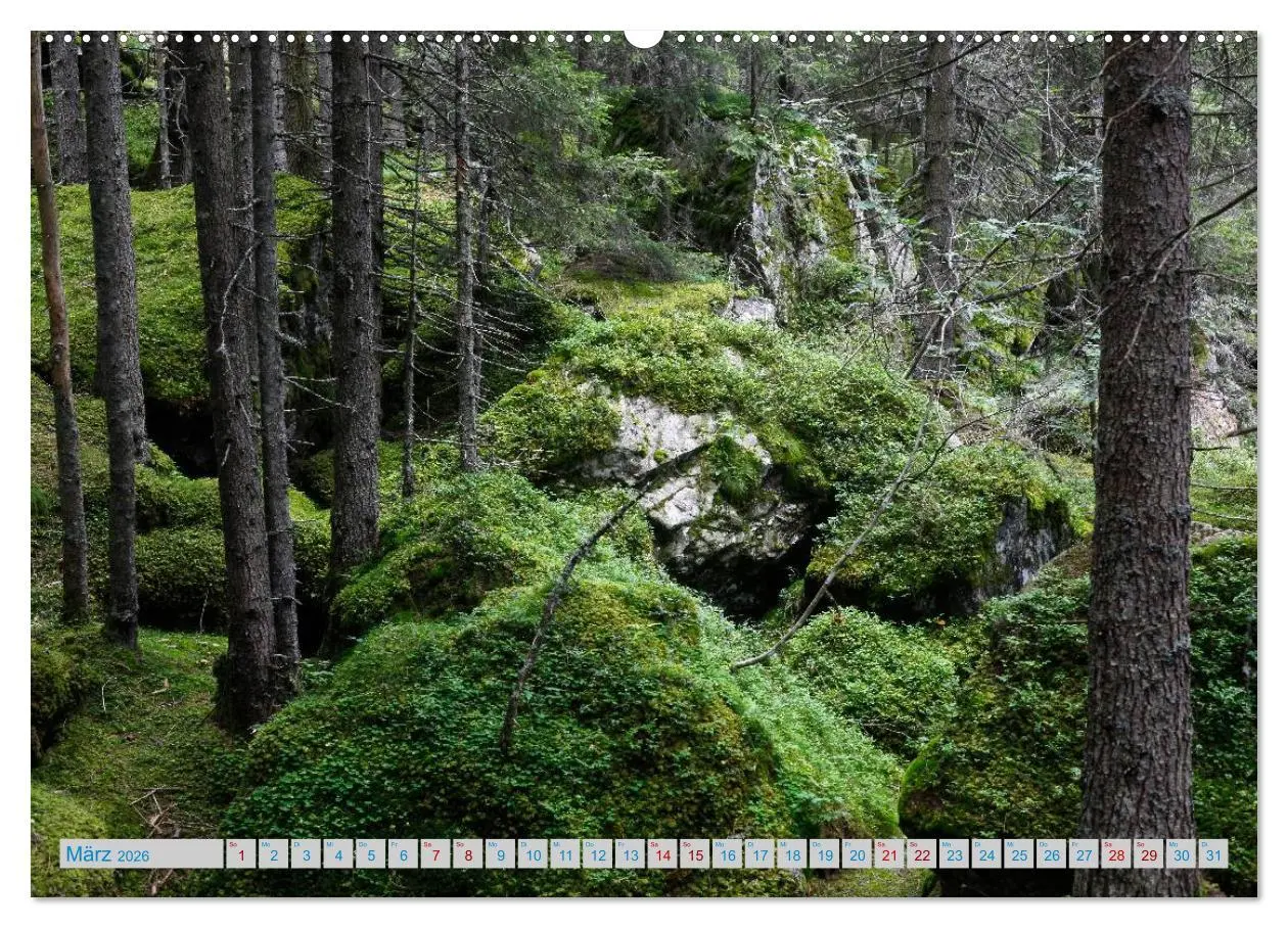 Bild: 9783457764305 | Schönes Südtirol (hochwertiger Premium Wandkalender 2026 DIN A2...