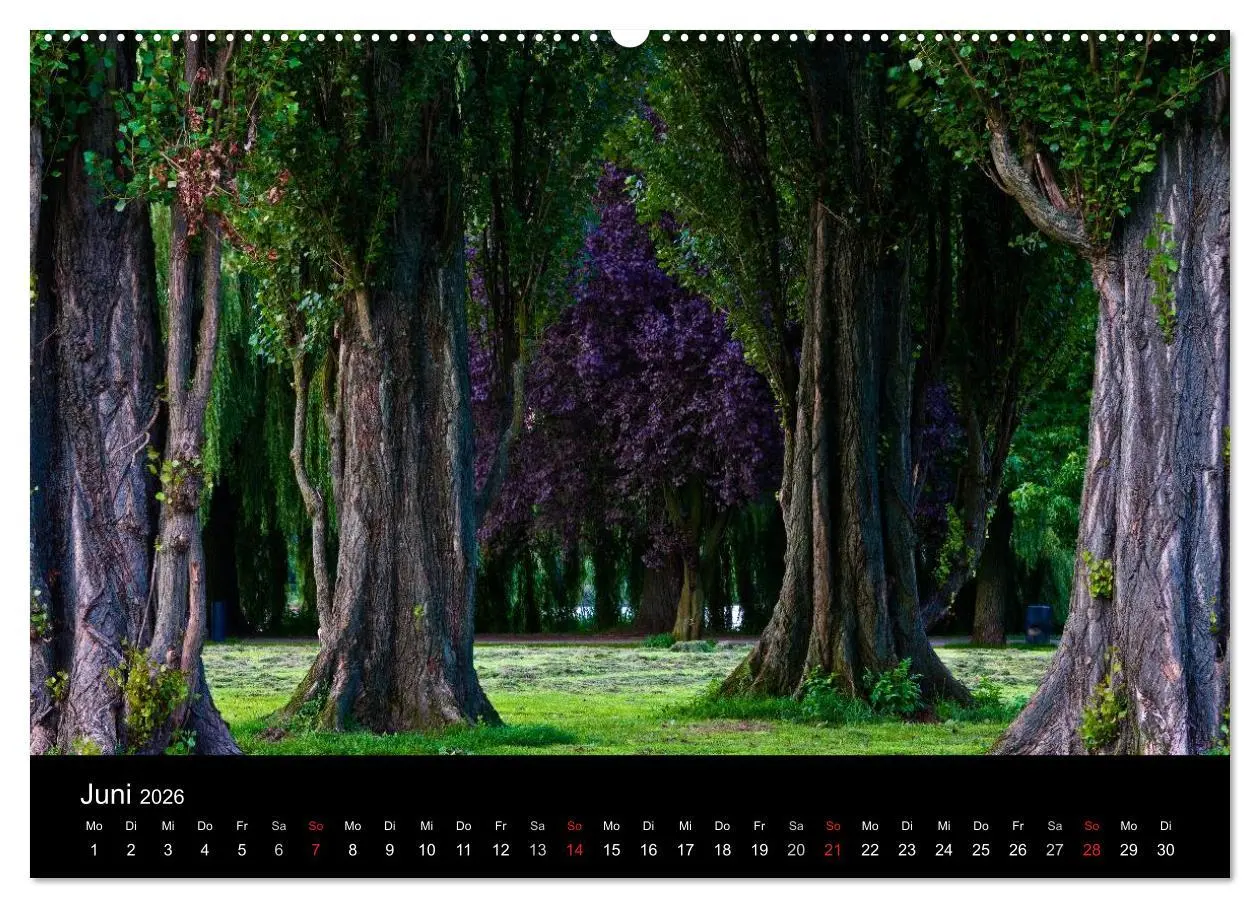 Bild: 9783516094305 | Charmantes Hamburg (hochwertiger Premium Wandkalender 2026 DIN A2...