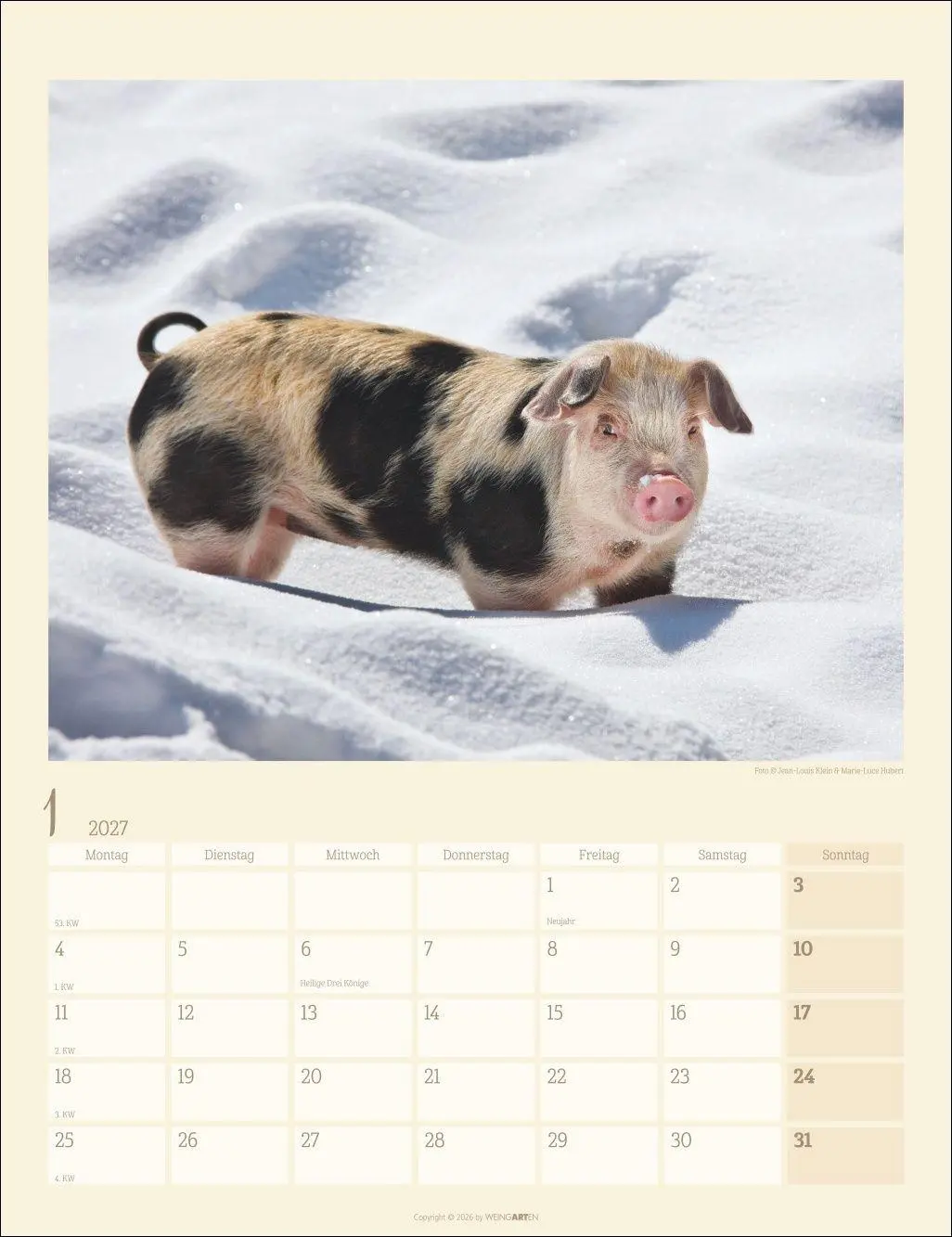 Bild: 9783839904305 | Schweinchen Kalender 2027 | Marie-Luce Hubert | Kalender | 14 S.