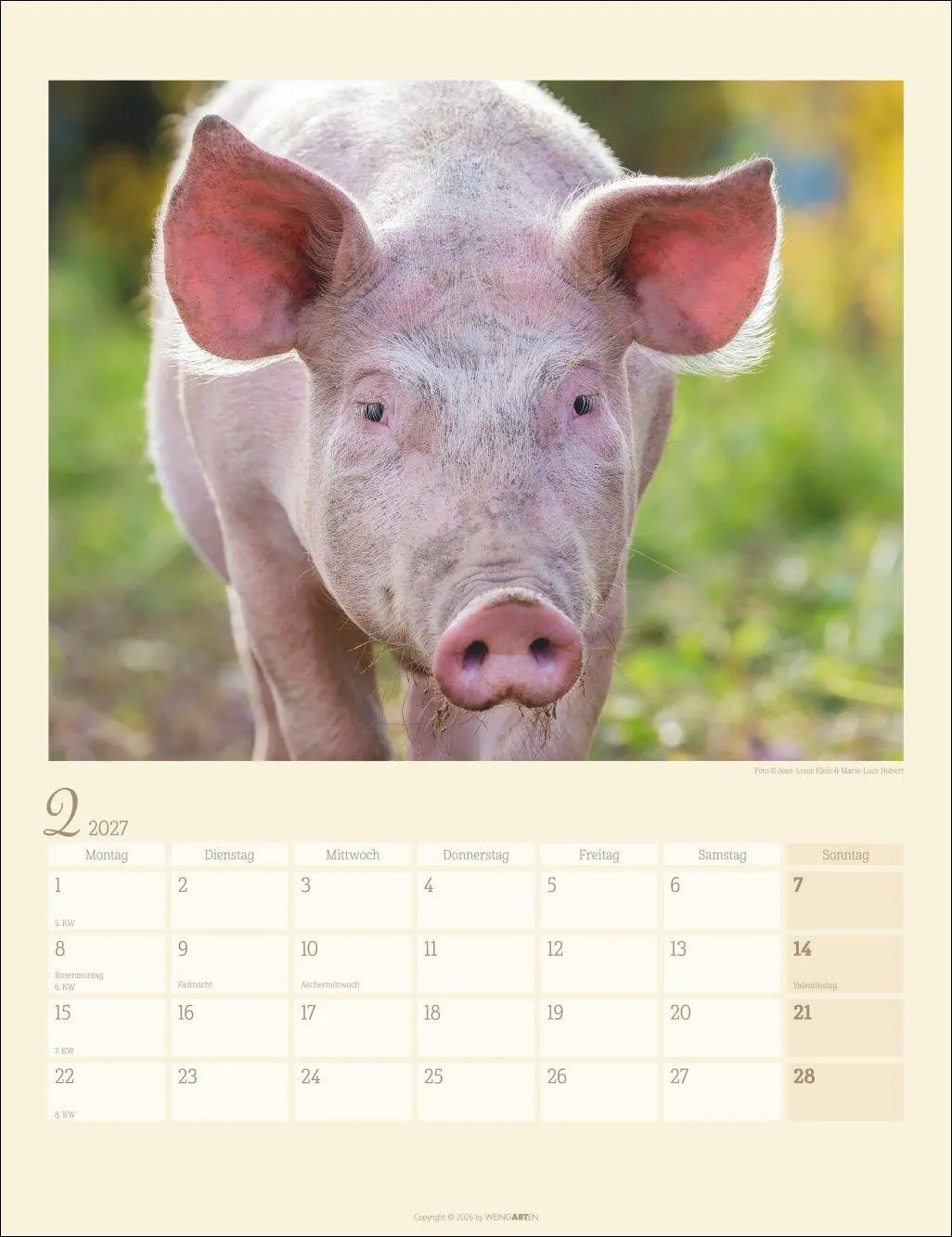 Bild: 9783839904305 | Schweinchen Kalender 2027 | Marie-Luce Hubert | Kalender | 14 S.