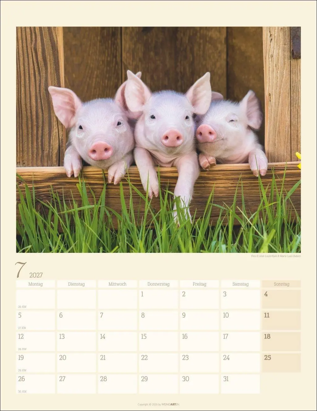 Bild: 9783839904305 | Schweinchen Kalender 2027 | Marie-Luce Hubert | Kalender | 14 S.