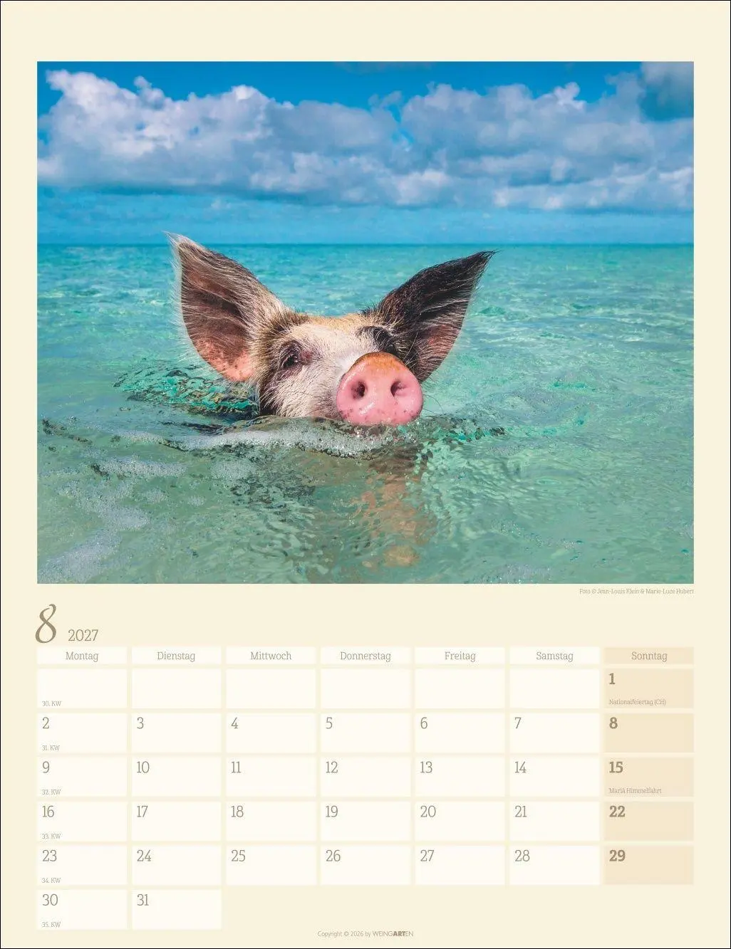 Bild: 9783839904305 | Schweinchen Kalender 2027 | Marie-Luce Hubert | Kalender | 14 S.
