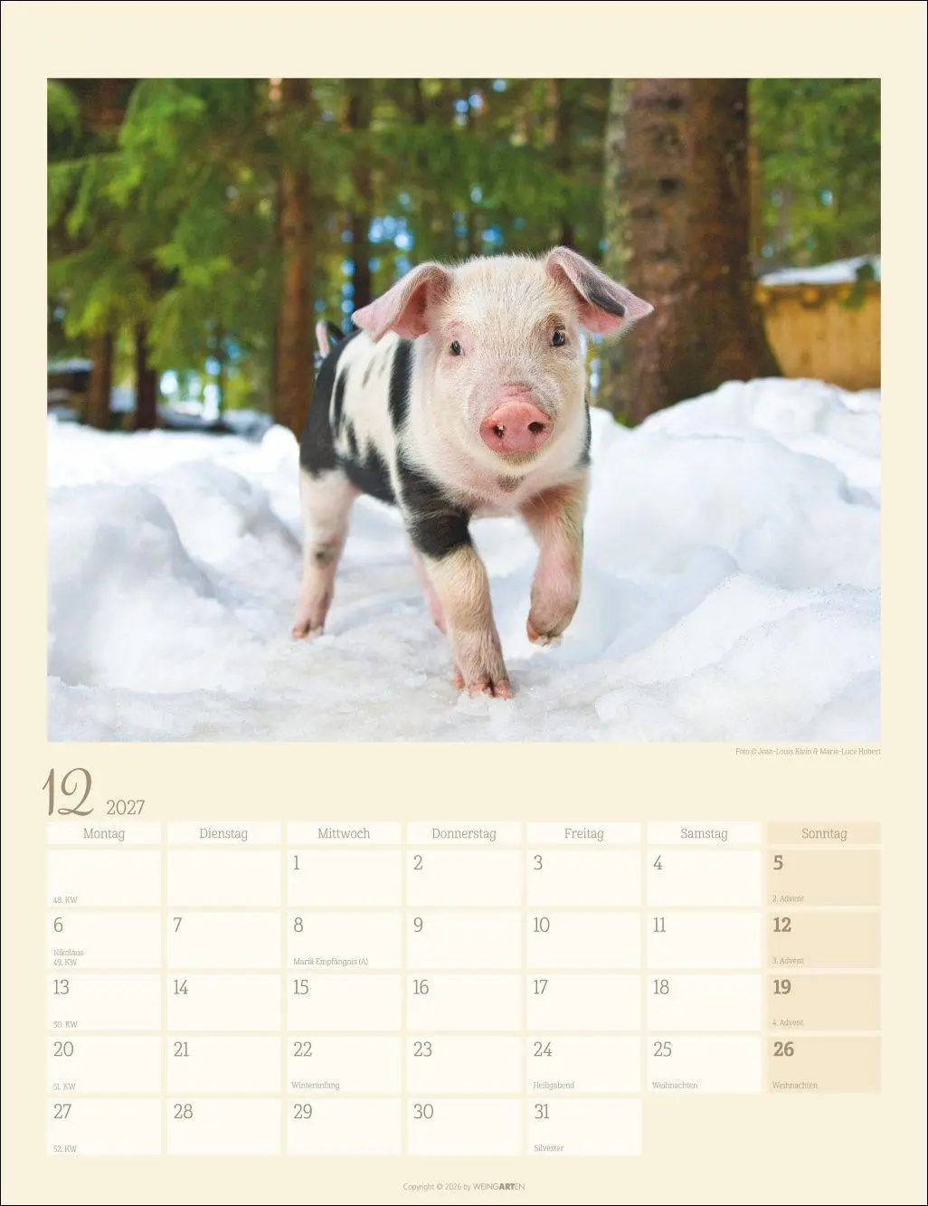 Bild: 9783839904305 | Schweinchen Kalender 2027 | Marie-Luce Hubert | Kalender | 14 S.