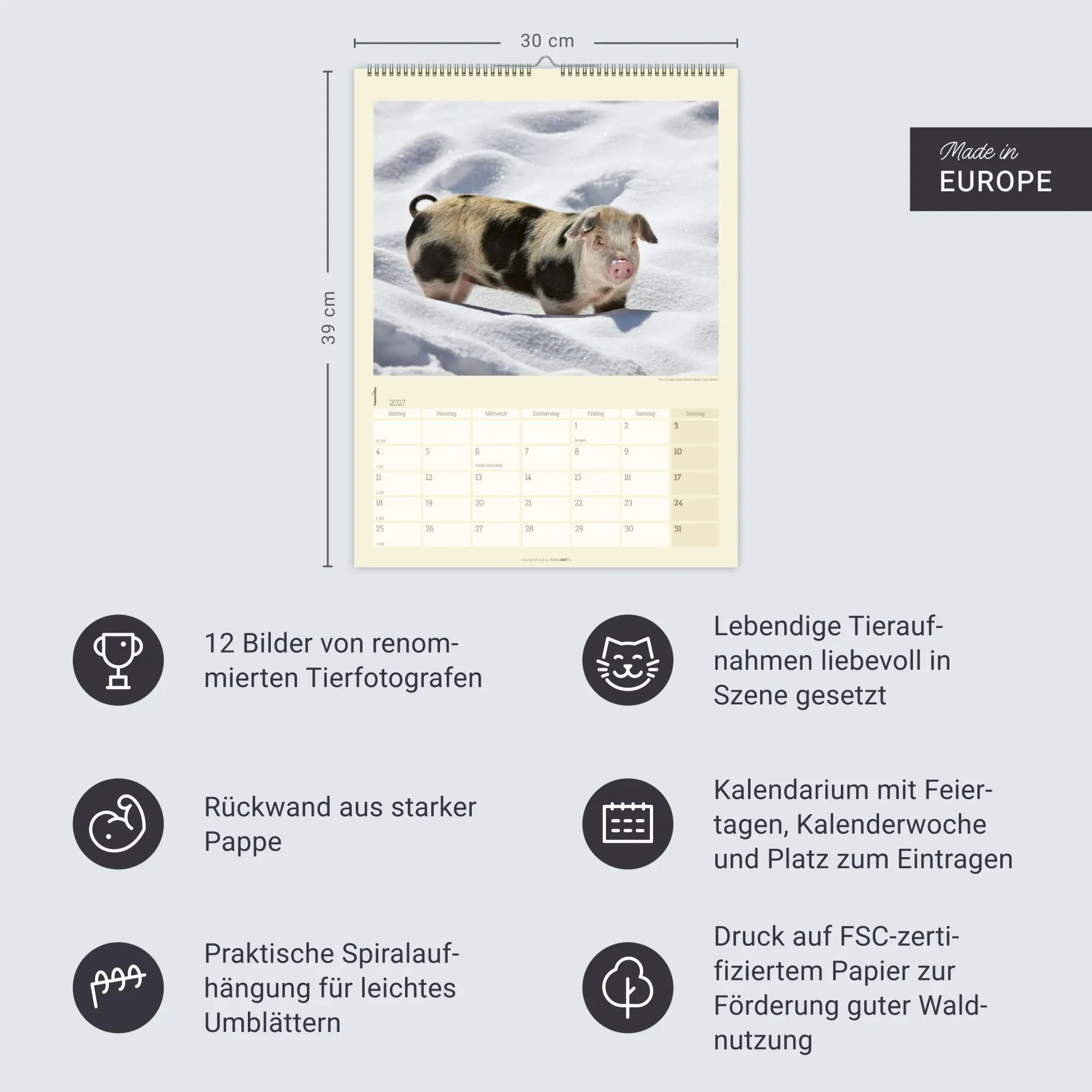 Bild: 9783839904305 | Schweinchen Kalender 2027 | Marie-Luce Hubert | Kalender | 14 S.