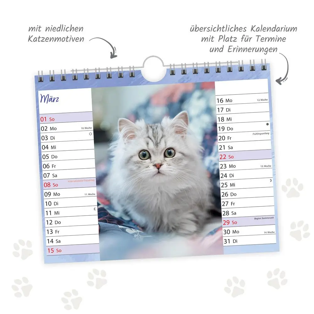 Bild: 9783988024305 | Trötsch Notizkalender Querformat Notizkalender Katzen 2026 mit 12...