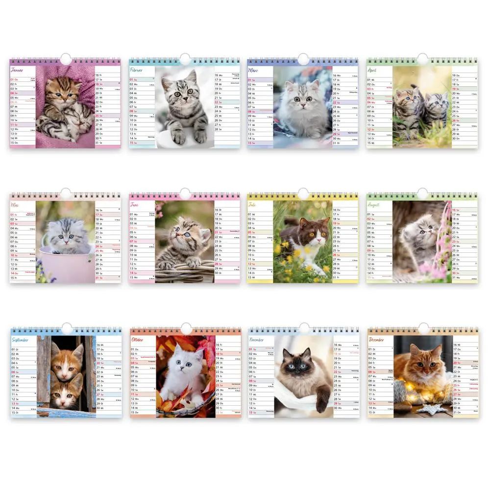 Bild: 9783988024305 | Trötsch Notizkalender Querformat Notizkalender Katzen 2026 mit 12...