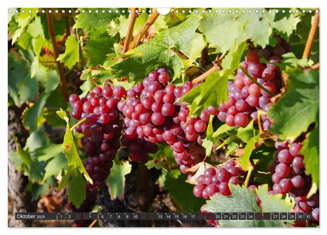 Bild: 9783435414505 | Elsass - Zwischen Rhein und Vogesen (Wandkalender 2025 DIN A3...