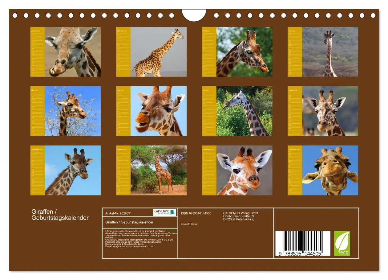 Bild: 9783516144505 | Giraffen / Geburtstagskalender (Wandkalender 2026 DIN A4 quer),...